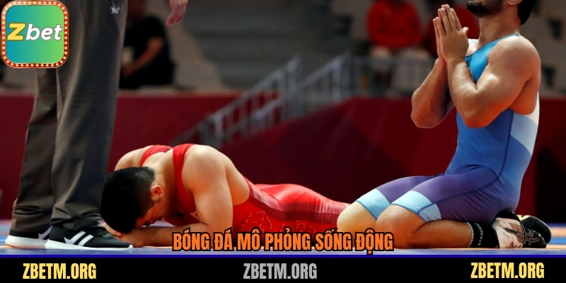 Bóng đá mô phỏng sống động