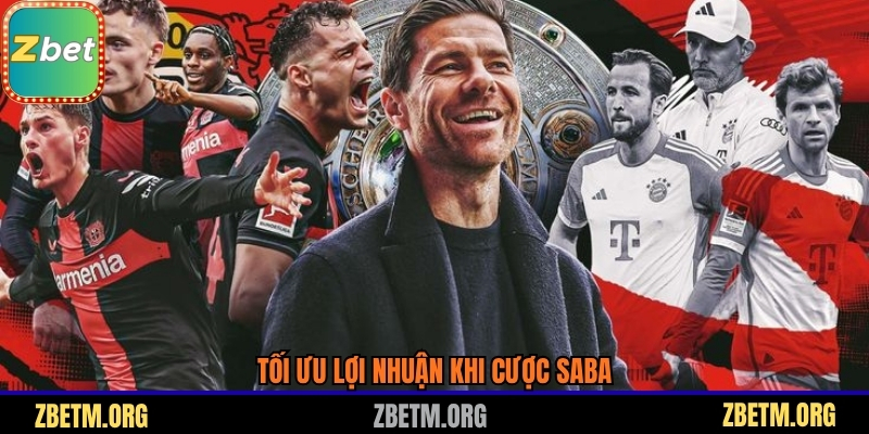 Tối ưu lợi nhuận khi cược Saba